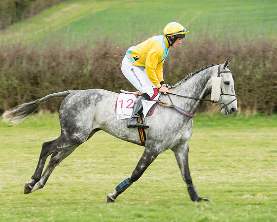 Race 5 - Restricted race (48 of 131).jpg