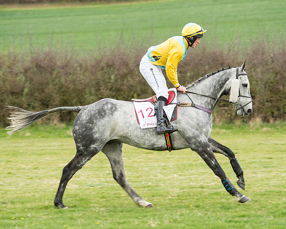 Race 5 - Restricted race (51 of 131).jpg