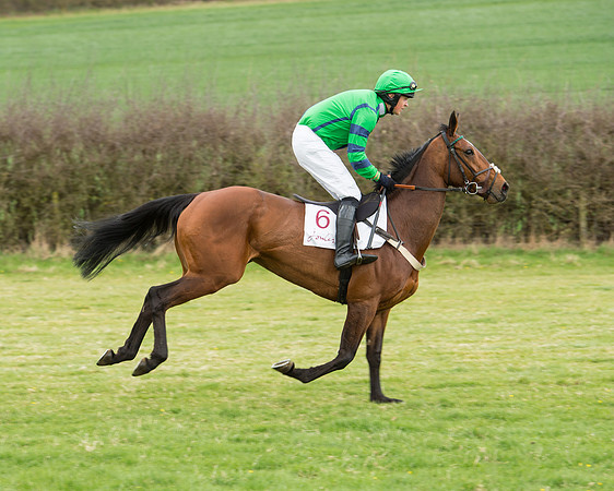 Race 5 - Restricted race (64 of 131).jpg