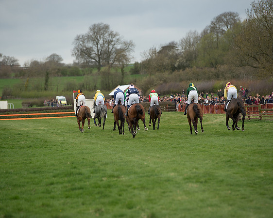 Race 5 - Restricted race (85 of 131).jpg