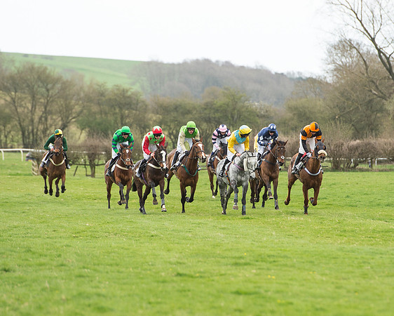 Race 5 - Restricted race (86 of 131).jpg