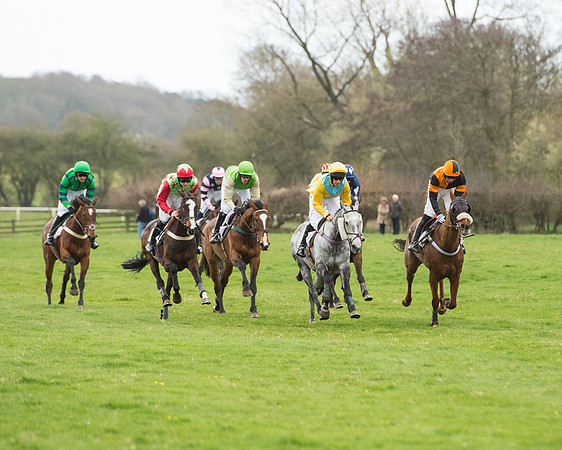 Race 5 - Restricted race (88 of 131).jpg