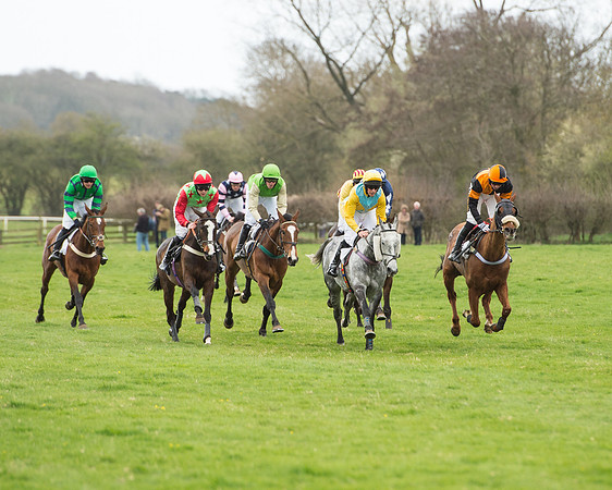Race 5 - Restricted race (89 of 131).jpg