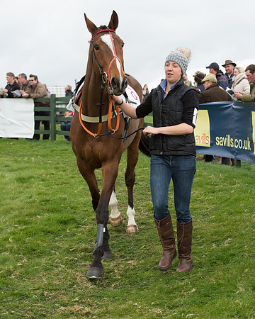 Race 6 - Open Maiden (4 of 201).jpg