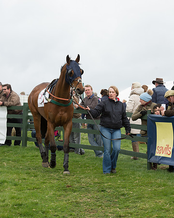 Race 6 - Open Maiden (5 of 201).jpg