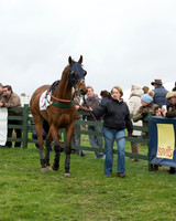 Race 6 - Open Maiden (6 of 201).jpg