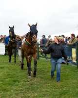 Race 6 - Open Maiden (7 of 201).jpg