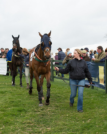 Race 6 - Open Maiden (7 of 201).jpg