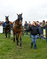 Race 6 - Open Maiden (8 of 201).jpg