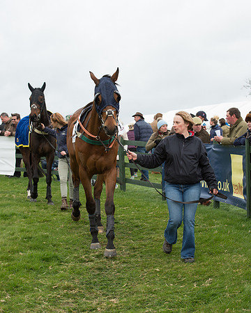 Race 6 - Open Maiden (8 of 201).jpg