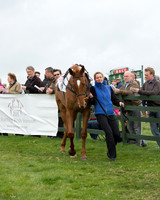 Race 6 - Open Maiden (9 of 201).jpg