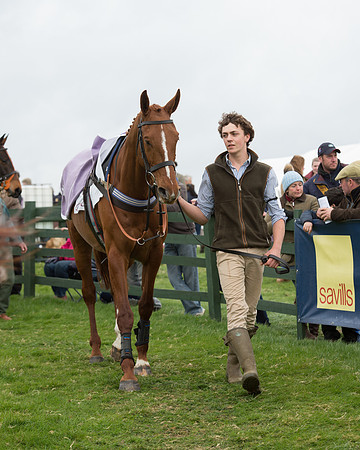 Race 6 - Open Maiden (13 of 201).jpg