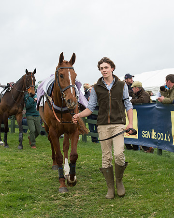 Race 6 - Open Maiden (15 of 201).jpg