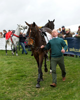 Race 6 - Open Maiden (17 of 201).jpg