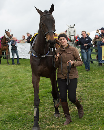 Race 6 - Open Maiden (21 of 201).jpg