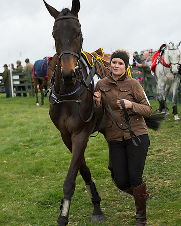 Race 6 - Open Maiden (23 of 201).jpg