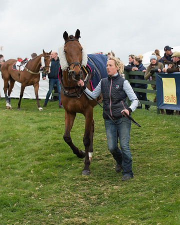 Race 6 - Open Maiden (28 of 201).jpg