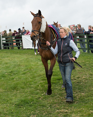 Race 6 - Open Maiden (29 of 201).jpg