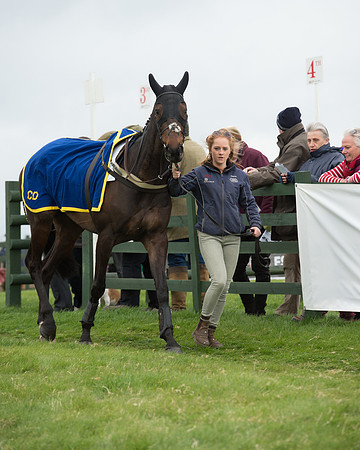 Race 6 - Open Maiden (34 of 201).jpg