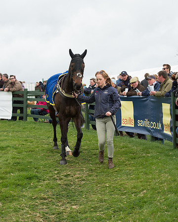 Race 6 - Open Maiden (36 of 201).jpg