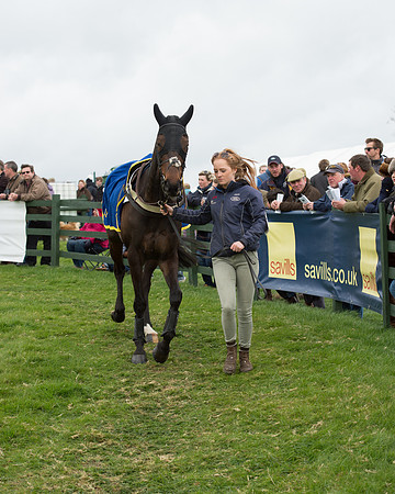 Race 6 - Open Maiden (37 of 201).jpg