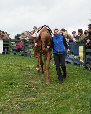 Race 6 - Open Maiden (39 of 201).jpg