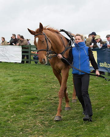 Race 6 - Open Maiden (40 of 201).jpg