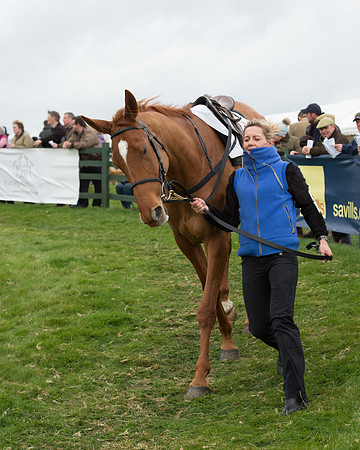 Race 6 - Open Maiden (41 of 201).jpg