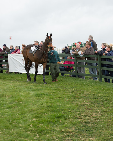 Race 6 - Open Maiden (42 of 201).jpg