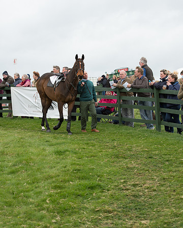 Race 6 - Open Maiden (43 of 201).jpg