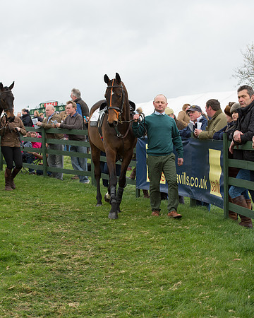 Race 6 - Open Maiden (44 of 201).jpg