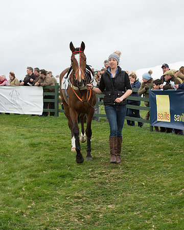 Race 6 - Open Maiden (47 of 201).jpg