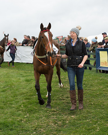 Race 6 - Open Maiden (49 of 201).jpg