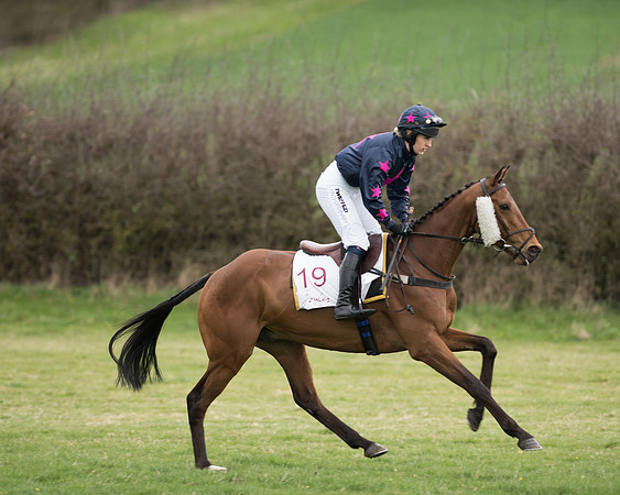 Race 6 - Open Maiden (52 of 201).jpg