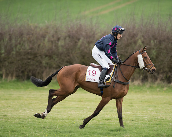 Race 6 - Open Maiden (53 of 201).jpg