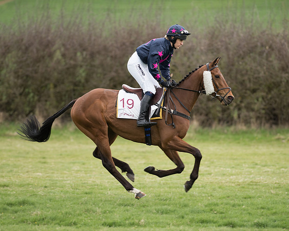 Race 6 - Open Maiden (54 of 201).jpg