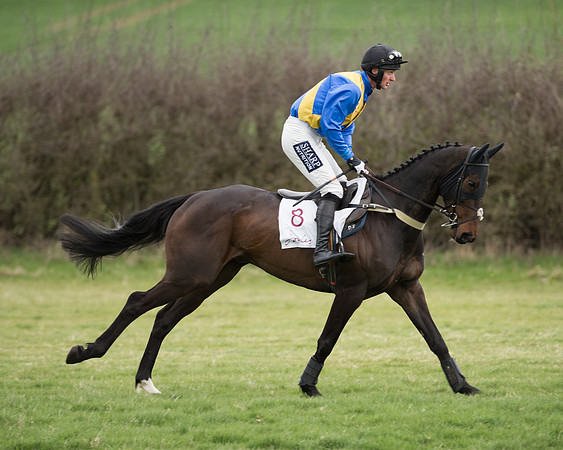 Race 6 - Open Maiden (57 of 201).jpg