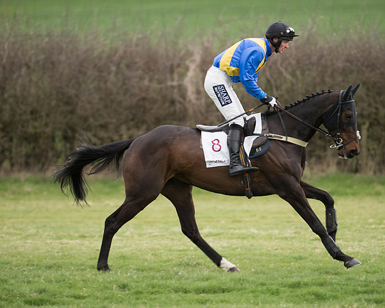 Race 6 - Open Maiden (58 of 201).jpg