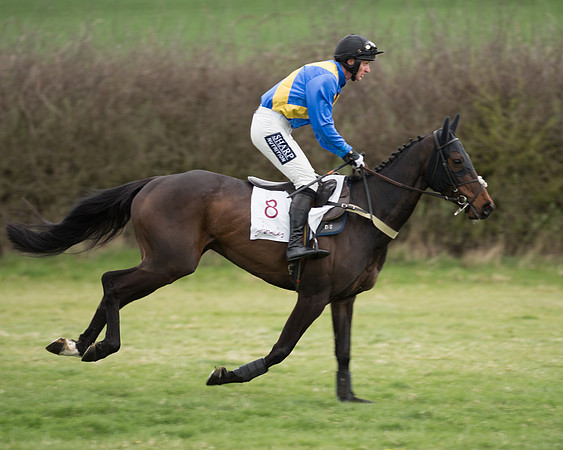 Race 6 - Open Maiden (59 of 201).jpg