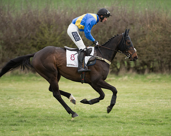 Race 6 - Open Maiden (60 of 201).jpg