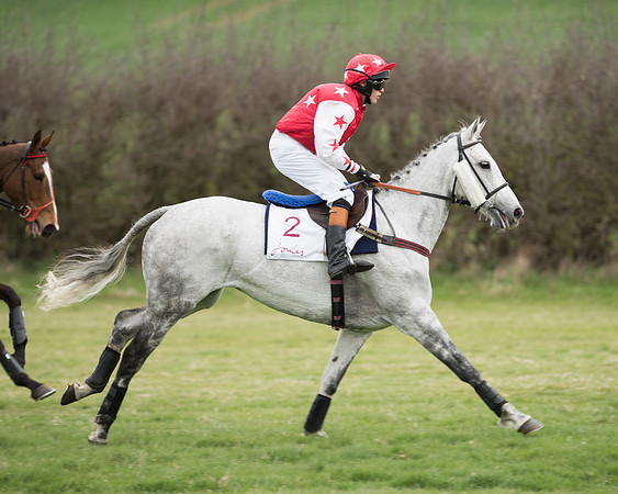 Race 6 - Open Maiden (62 of 201).jpg