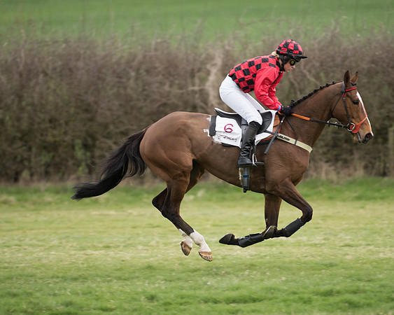 Race 6 - Open Maiden (63 of 201).jpg