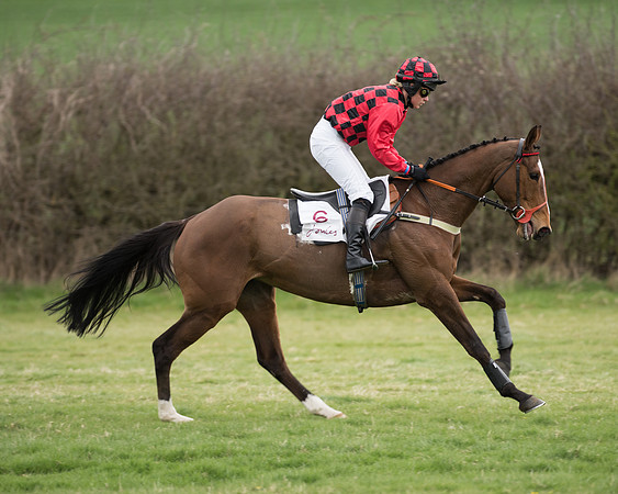 Race 6 - Open Maiden (64 of 201).jpg