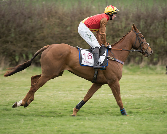 Race 6 - Open Maiden (65 of 201).jpg