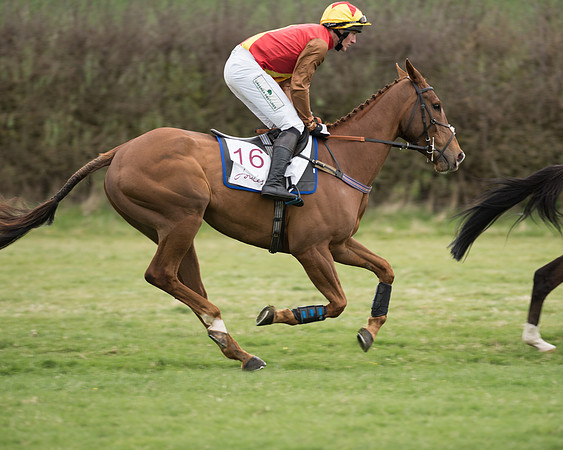 Race 6 - Open Maiden (66 of 201).jpg