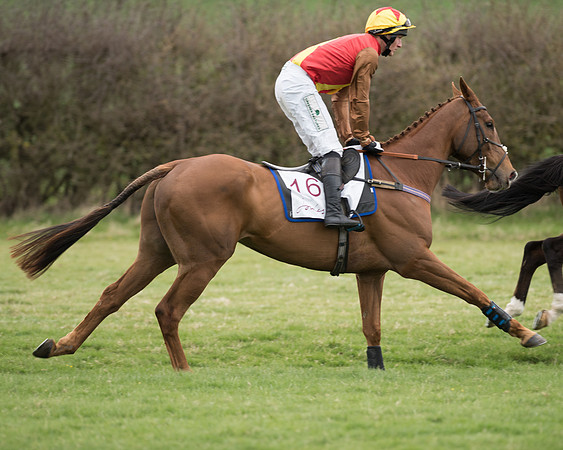 Race 6 - Open Maiden (67 of 201).jpg