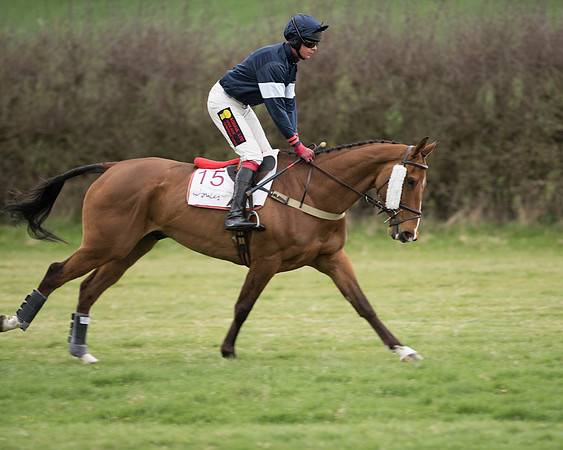 Race 6 - Open Maiden (68 of 201).jpg