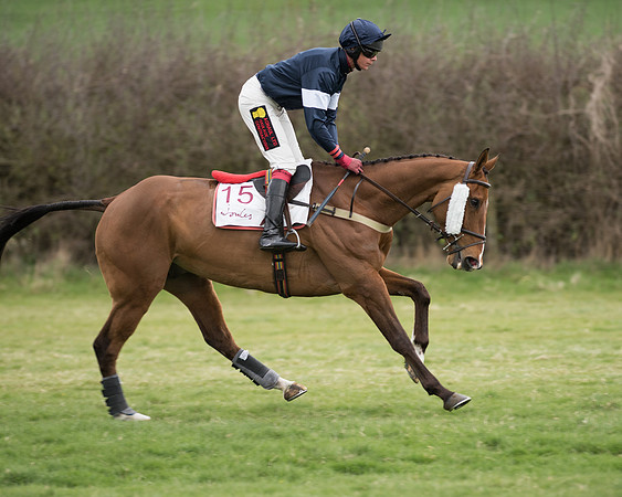 Race 6 - Open Maiden (69 of 201).jpg