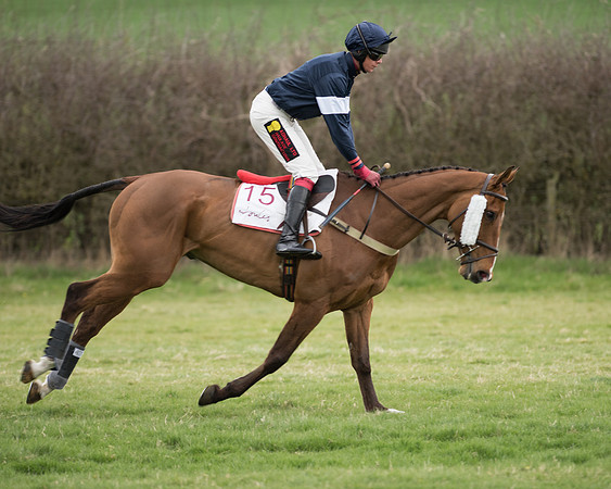 Race 6 - Open Maiden (70 of 201).jpg