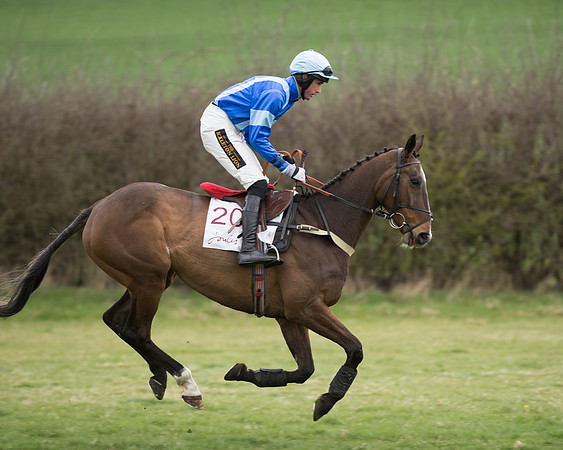 Race 6 - Open Maiden (71 of 201).jpg